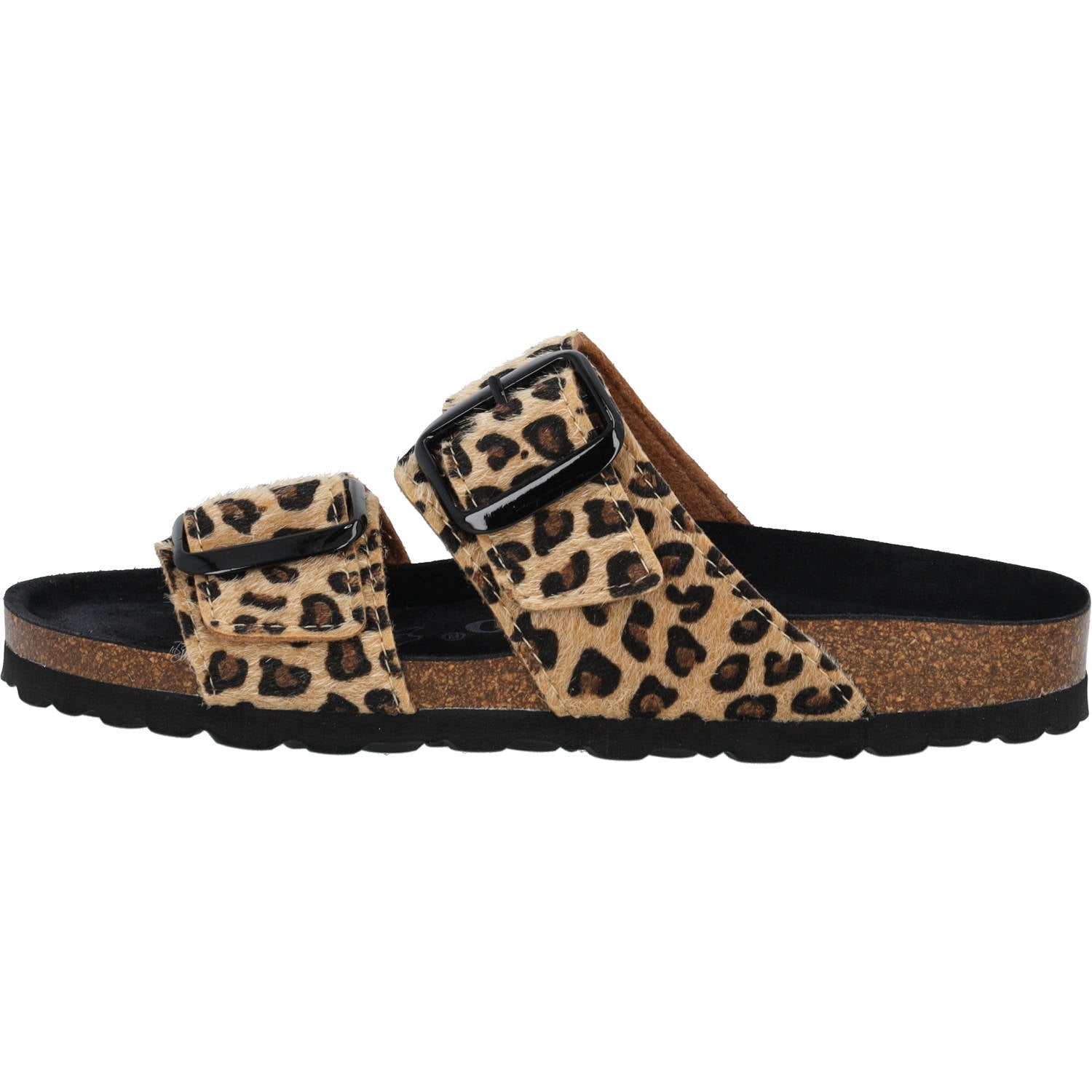 Samos GS Leo Camel
