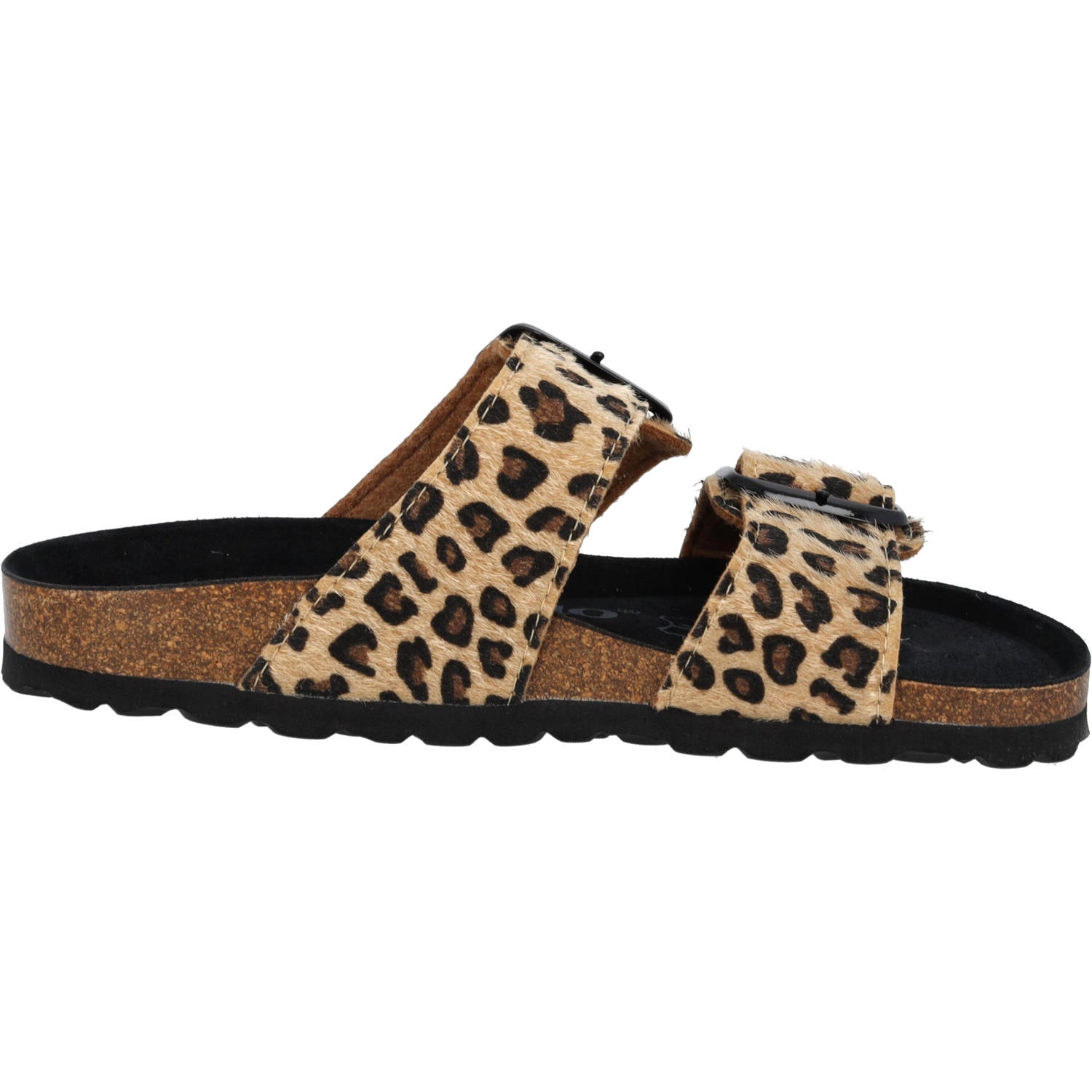 Samos GS Leo Camel