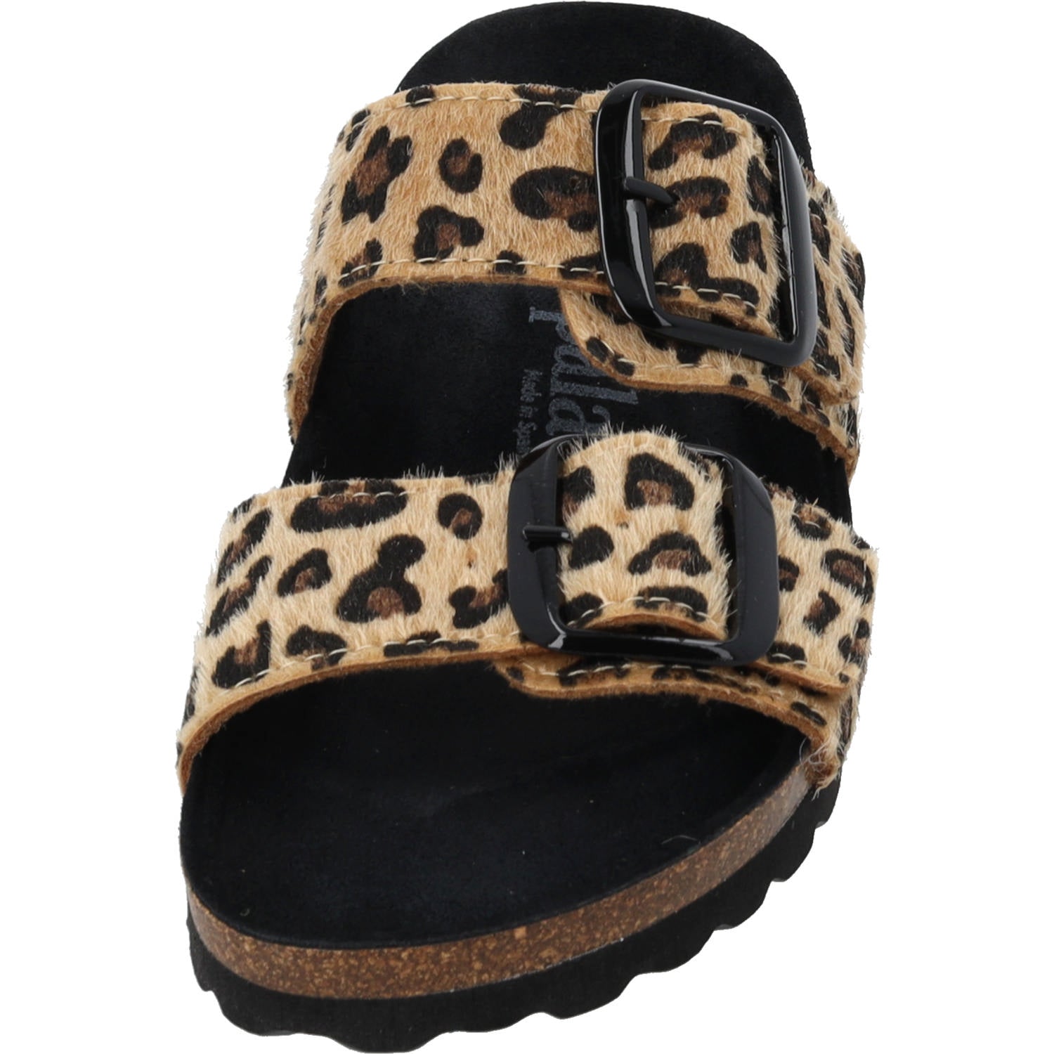 Samos GS Leo Camel