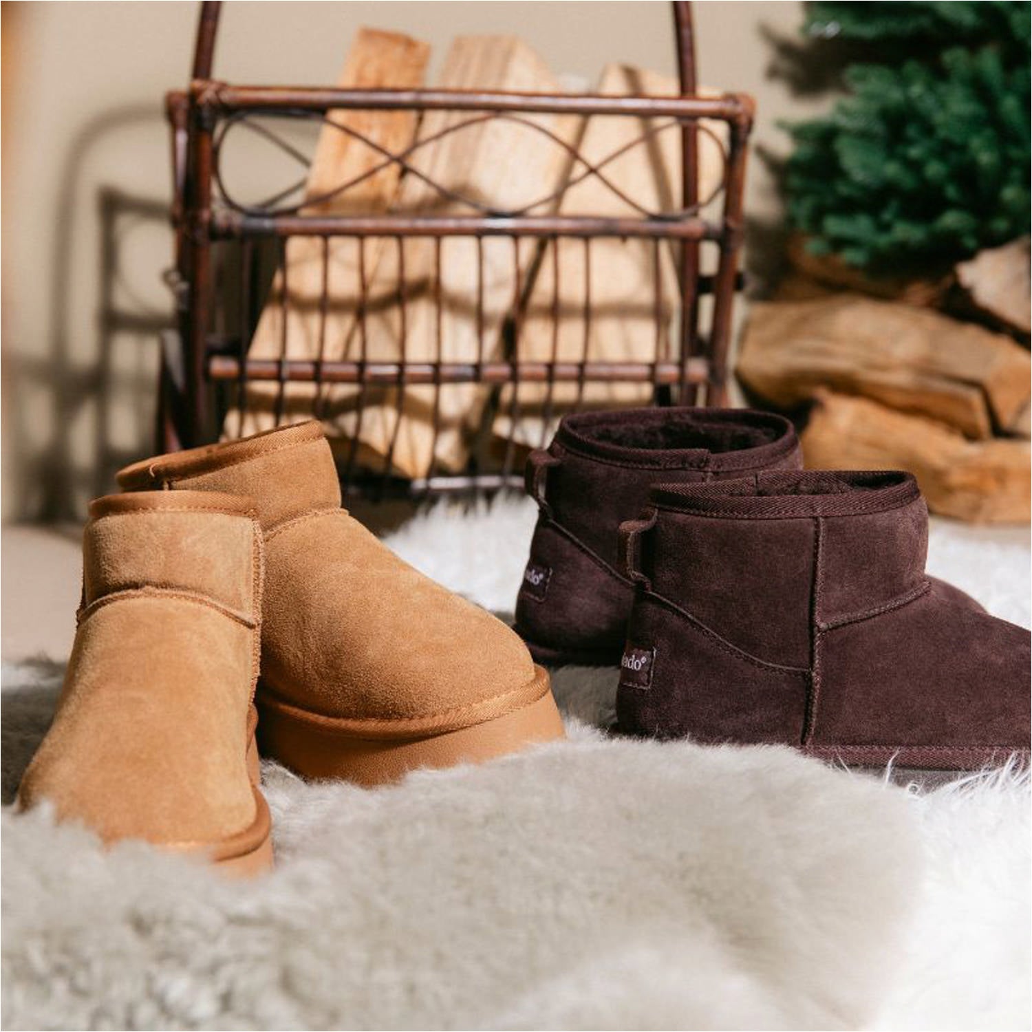 Chinu by Sila Sahin Camel