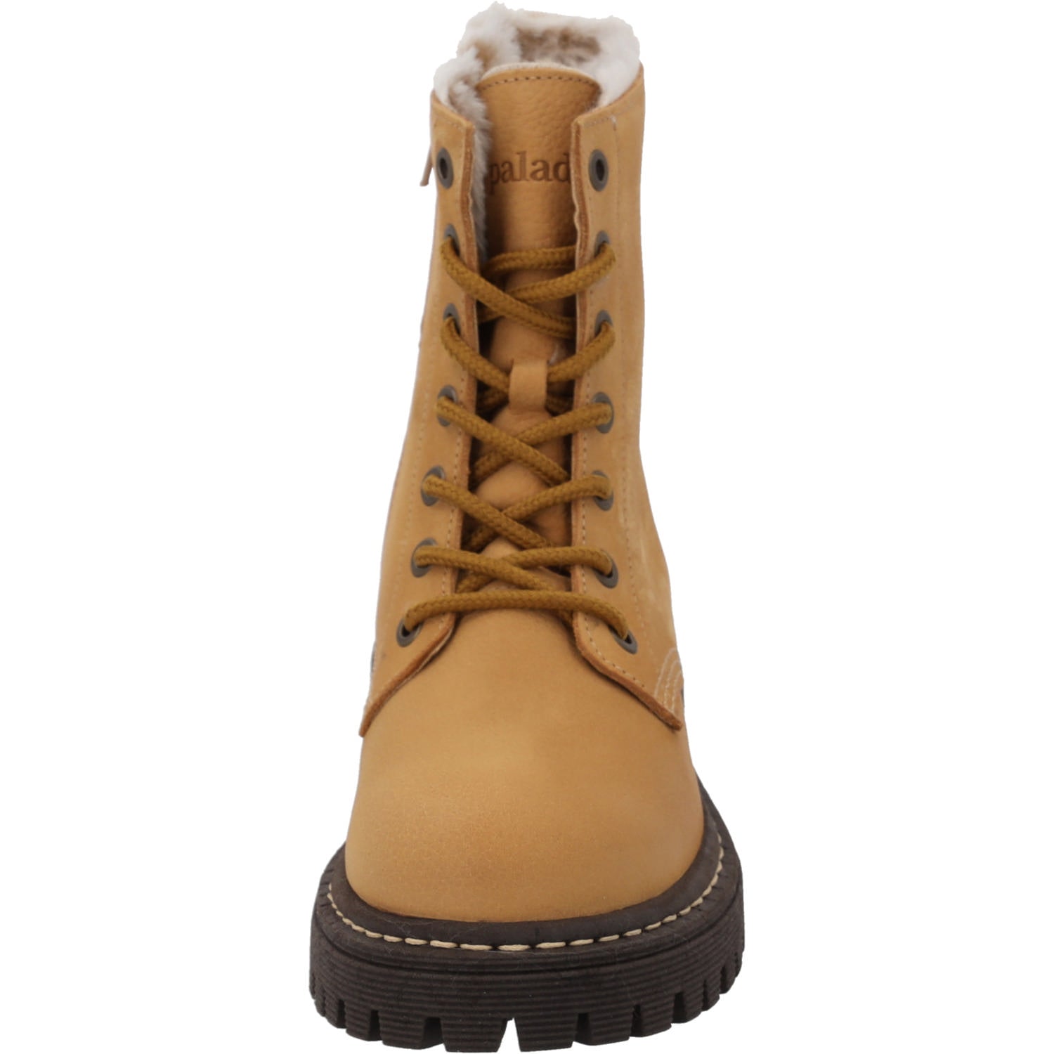 Giase Camel/Camel