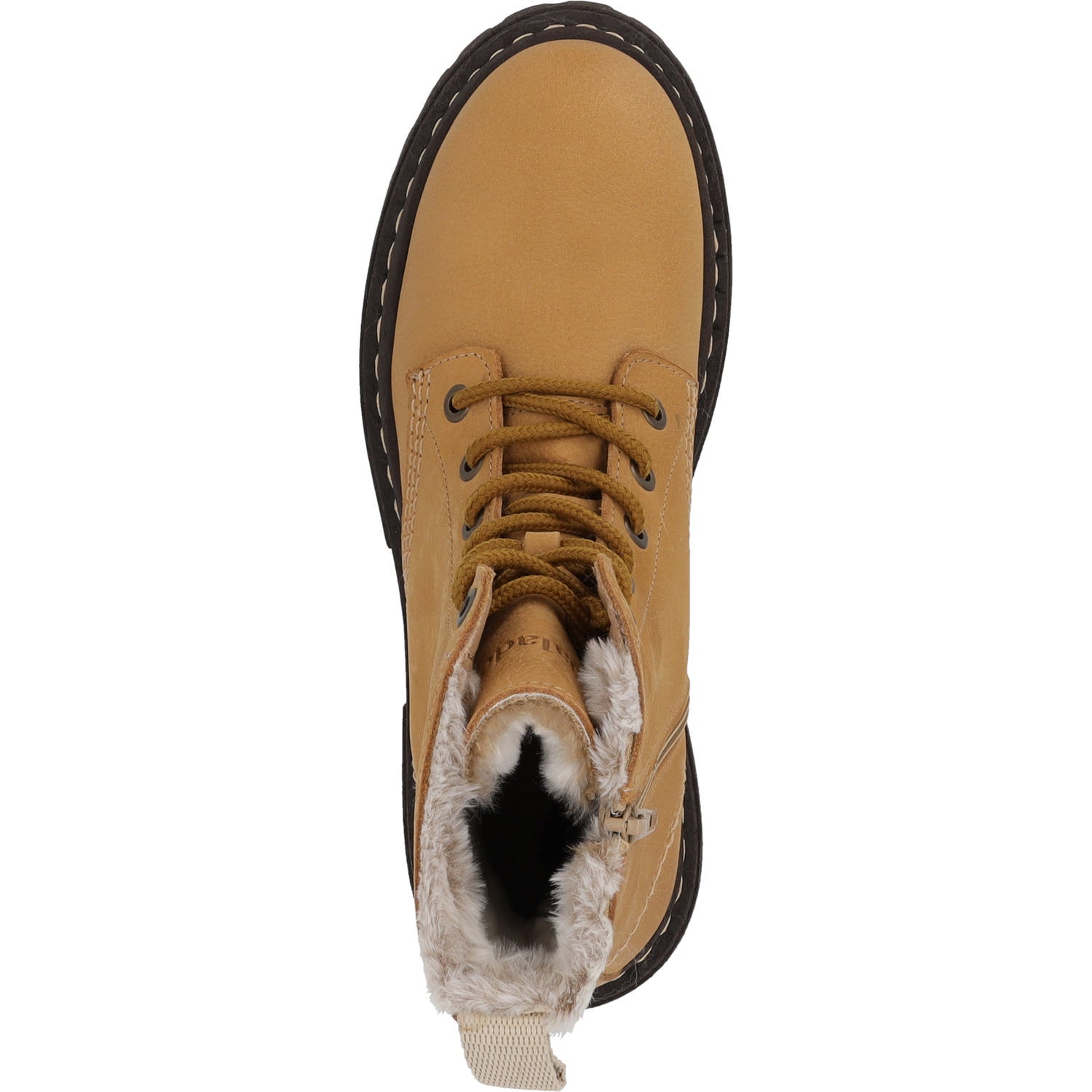 Giase Camel/Camel
