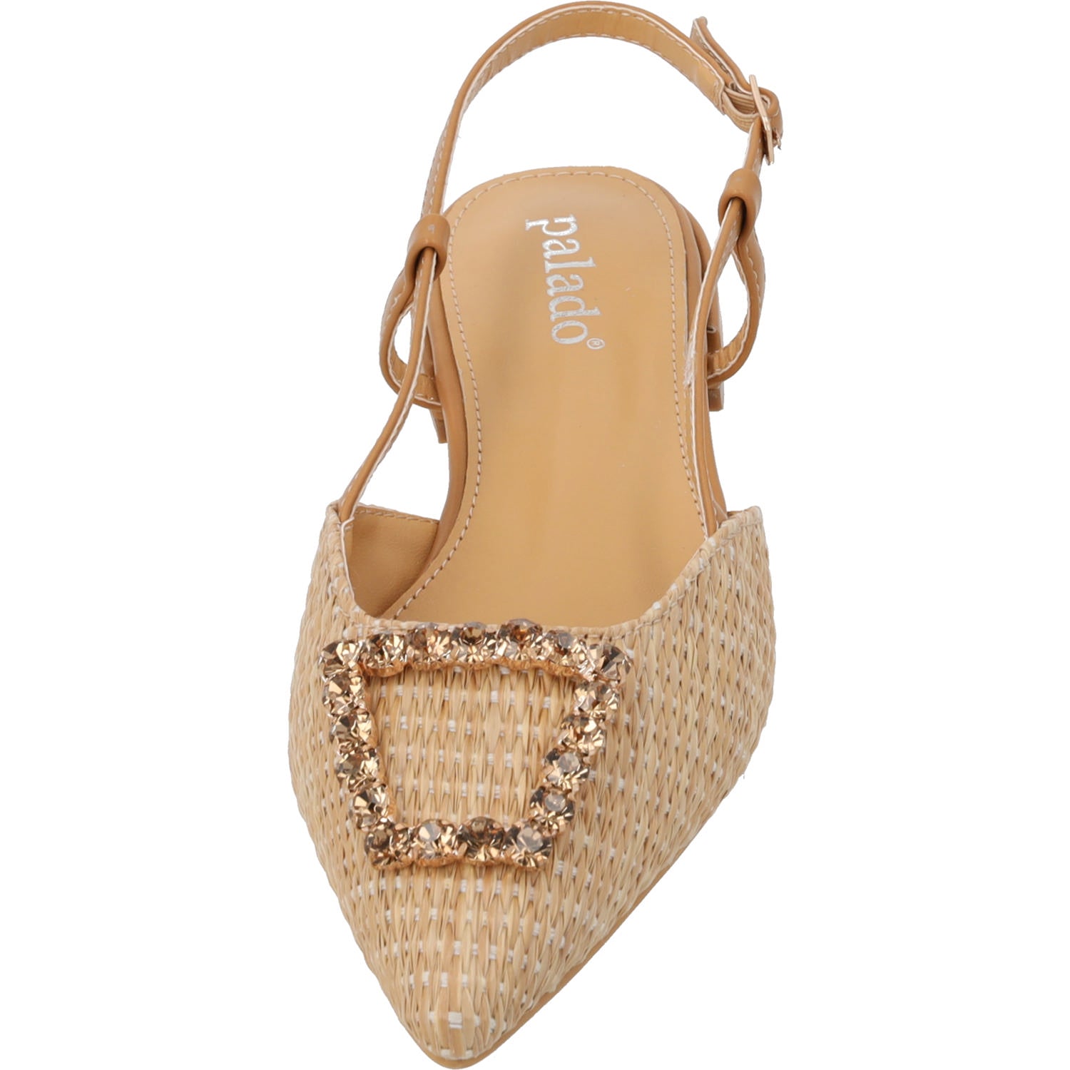 Edniya Camel