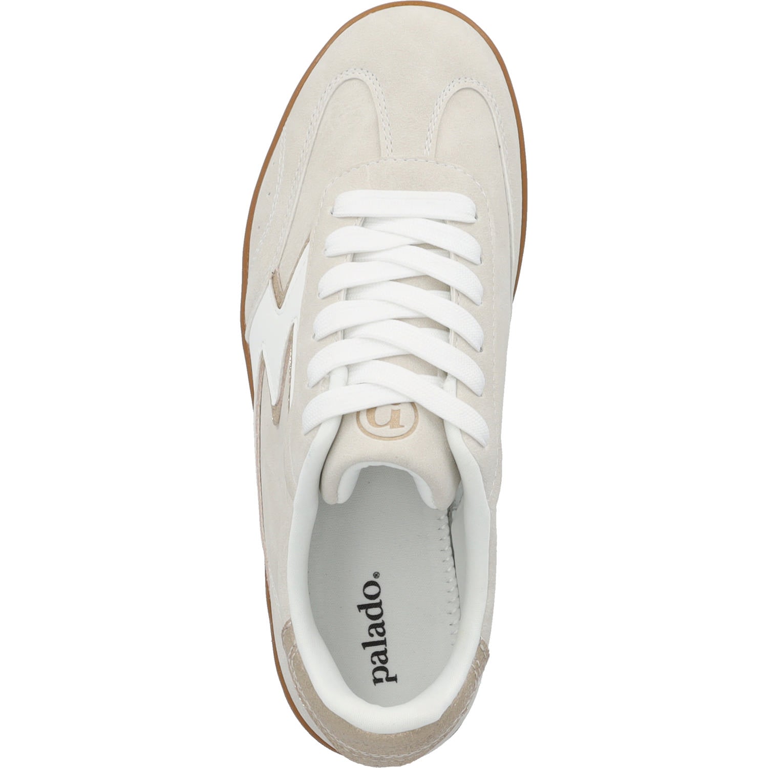 Astrantia Beige/Weiß