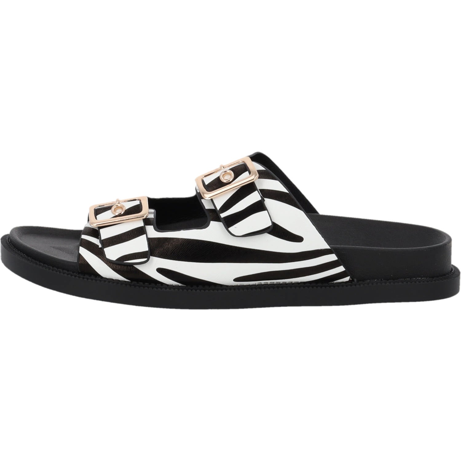 Gnojus Zebra
