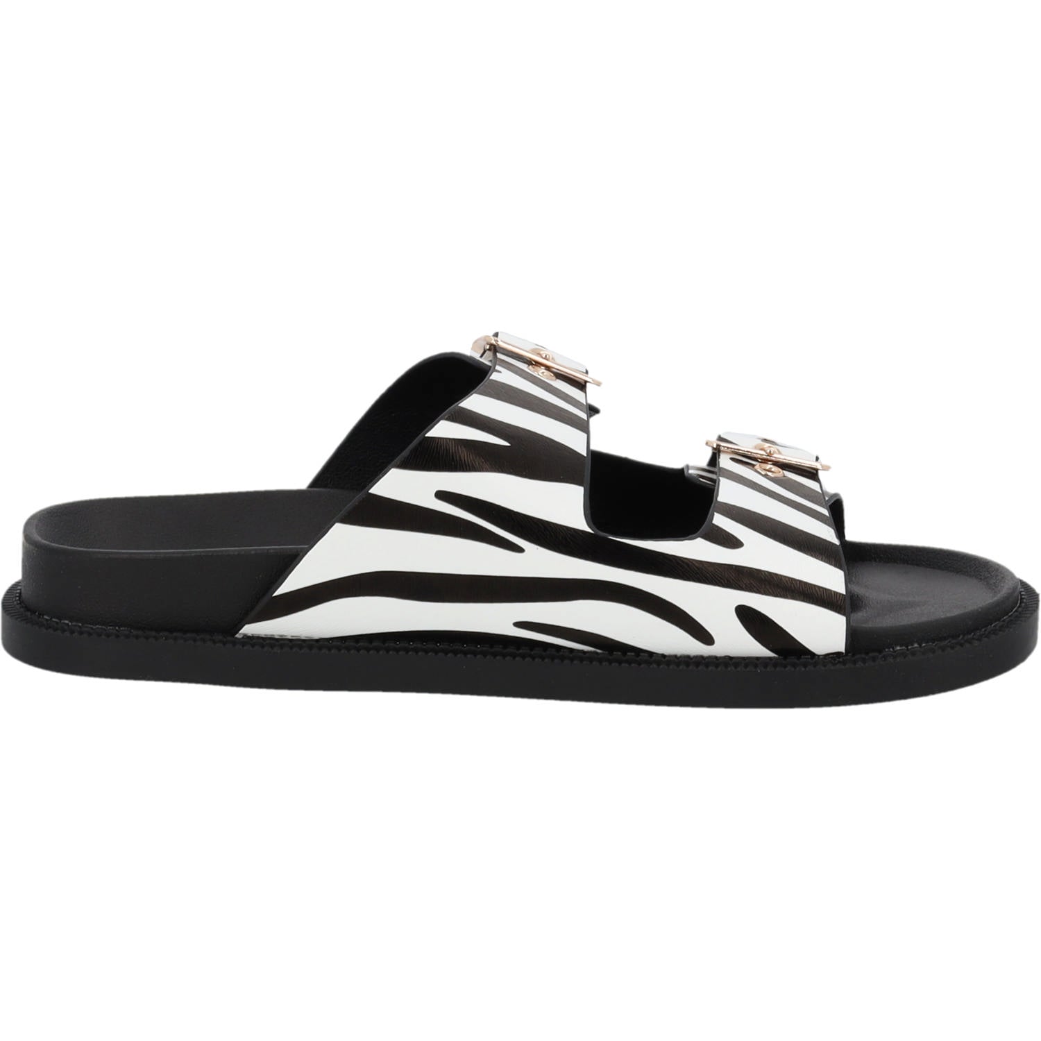 Gnojus Zebra