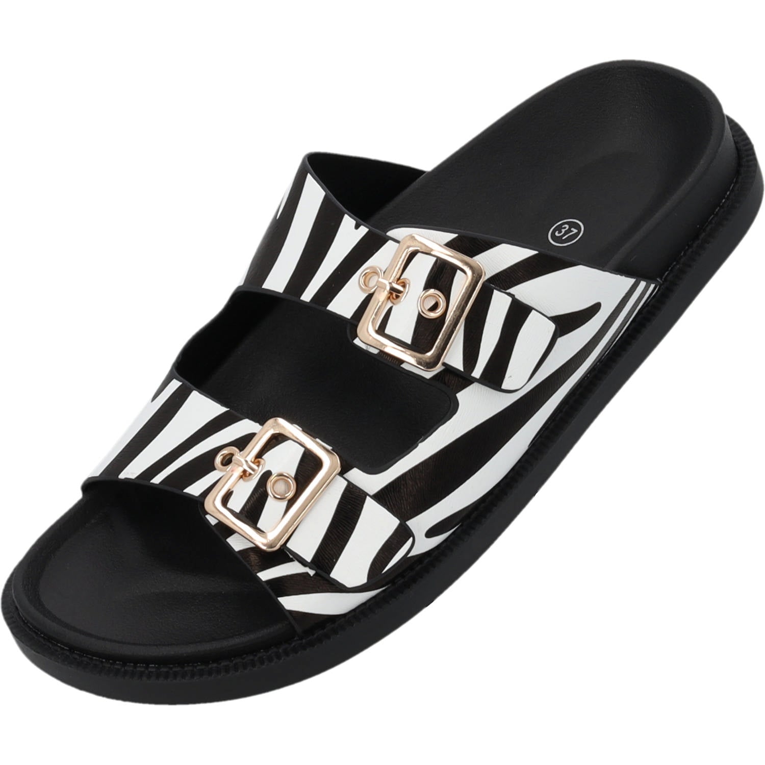 Gnojus Zebra