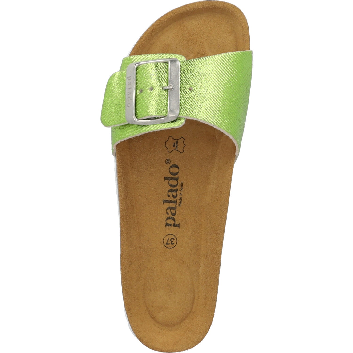 Malta EGS Gleam Grün