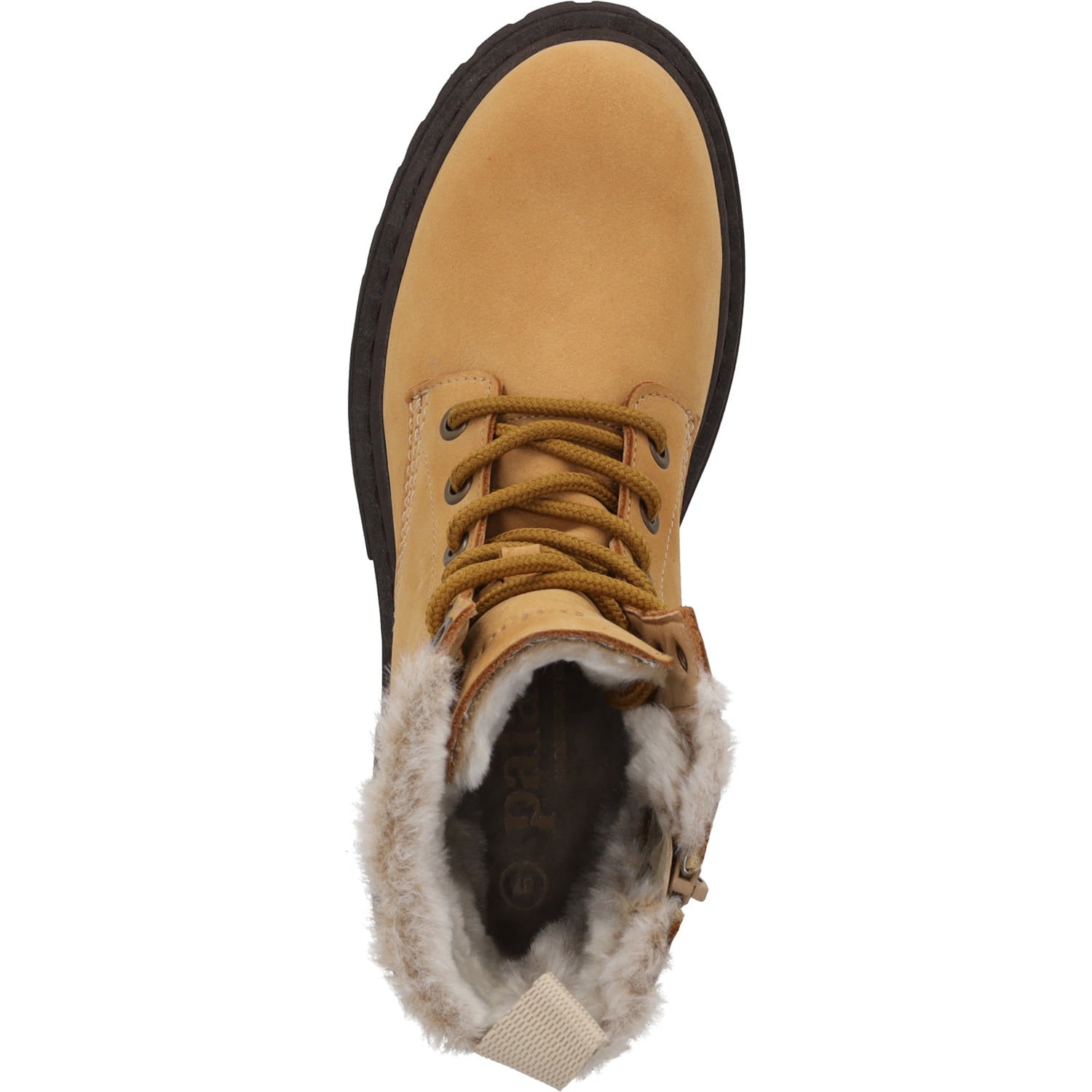 Giase Camel/Dunkelbraun