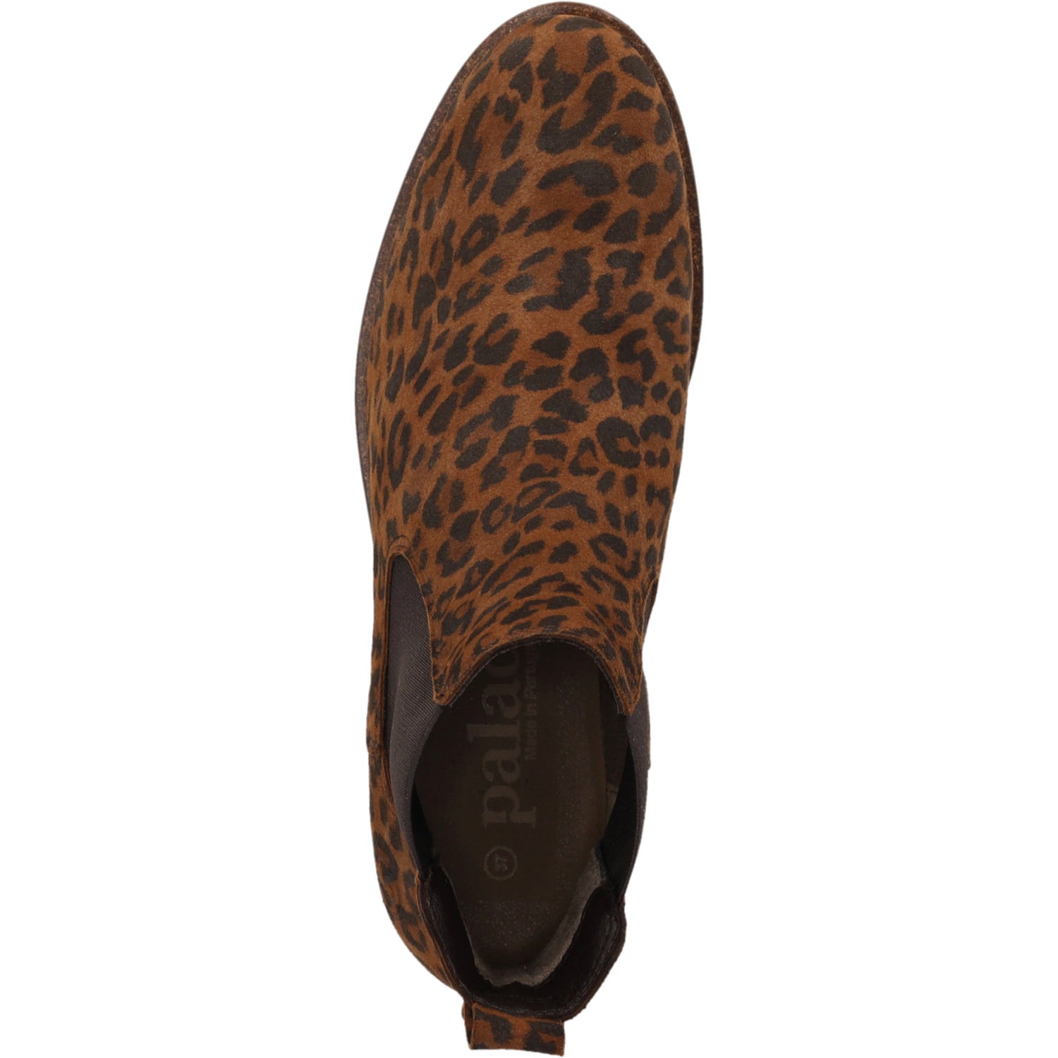 Lanry Braun Leopard