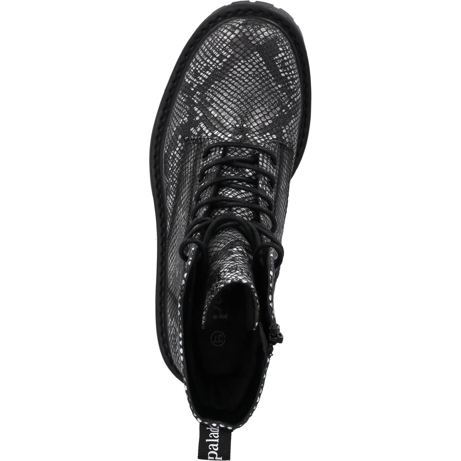 Liklys by Sila Sahin Snake