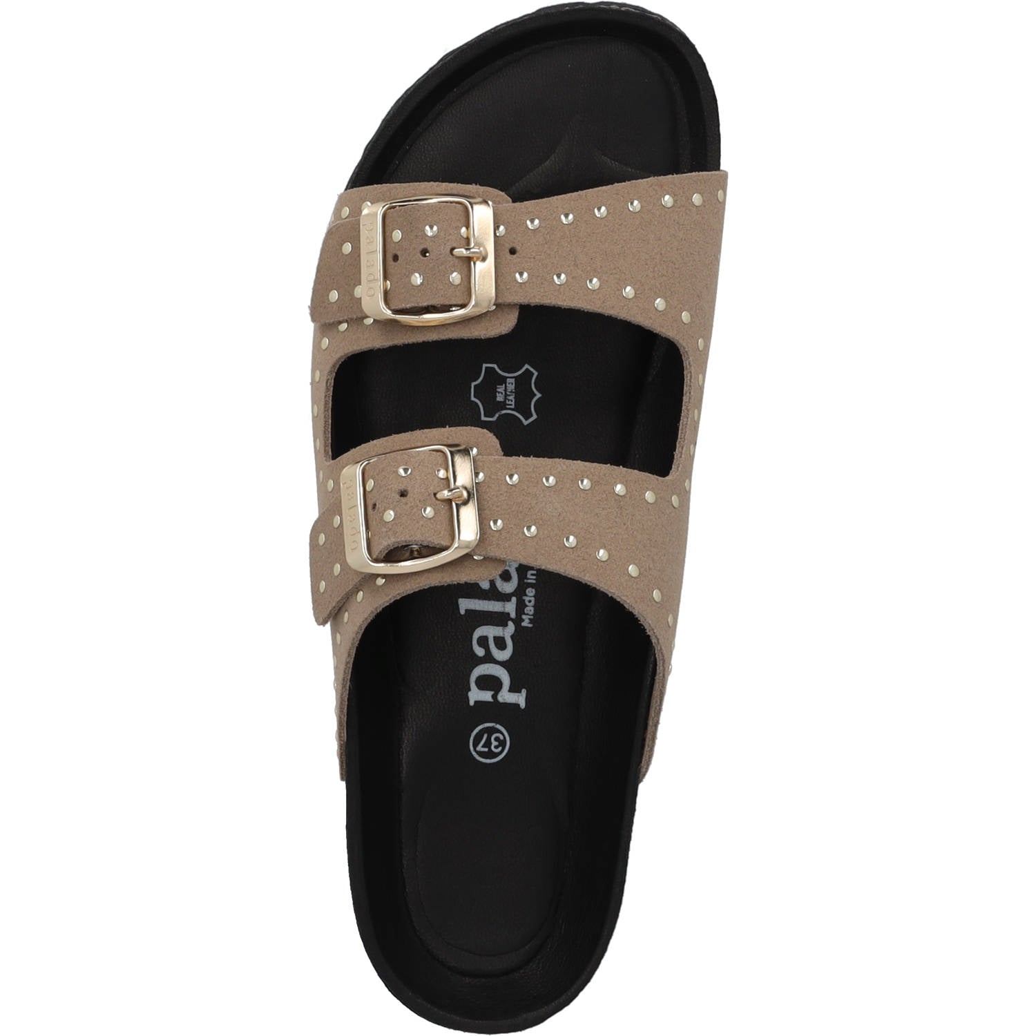 Elaha Rivet Velours Premium Leather Beige