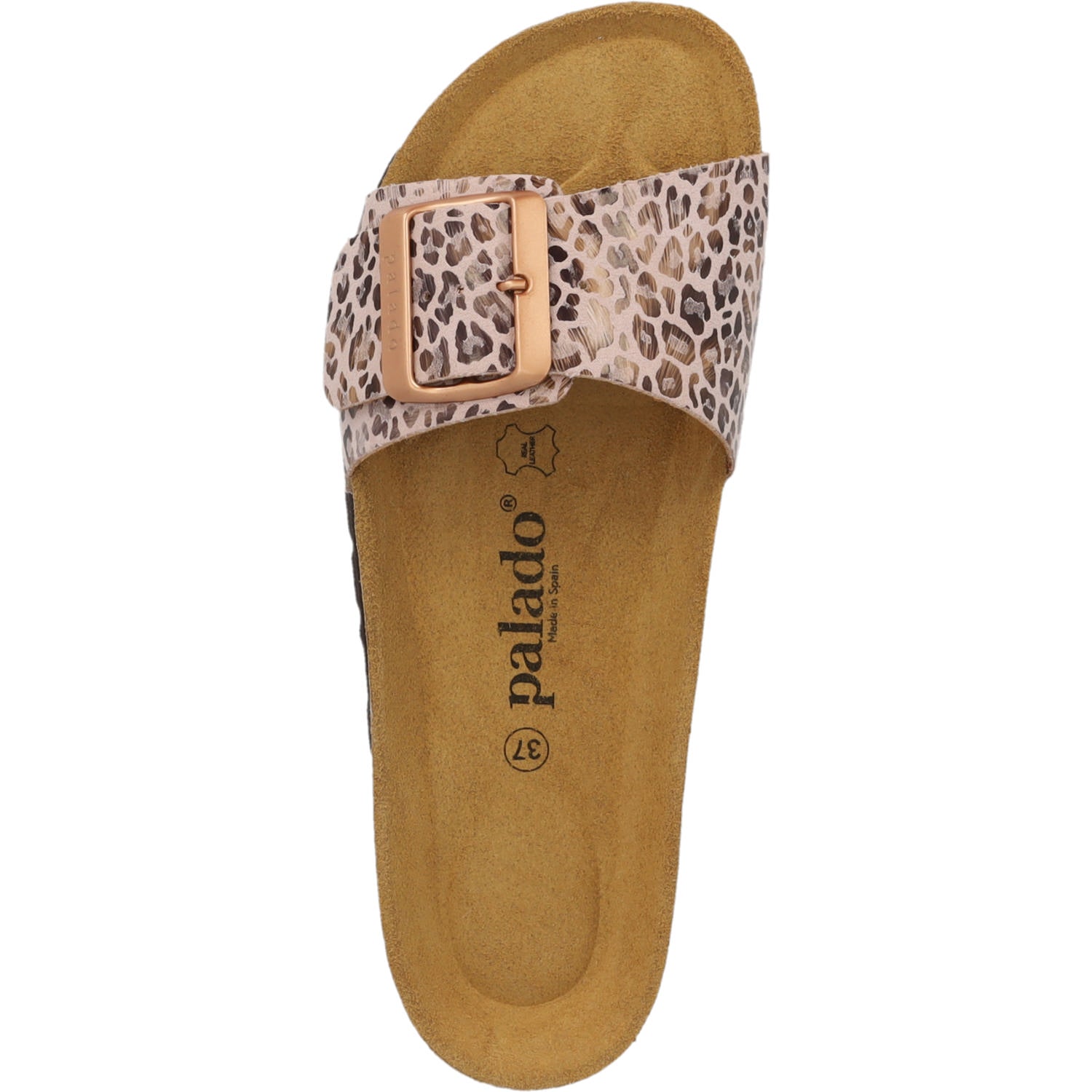 Malta EGS Wild Cat Rose