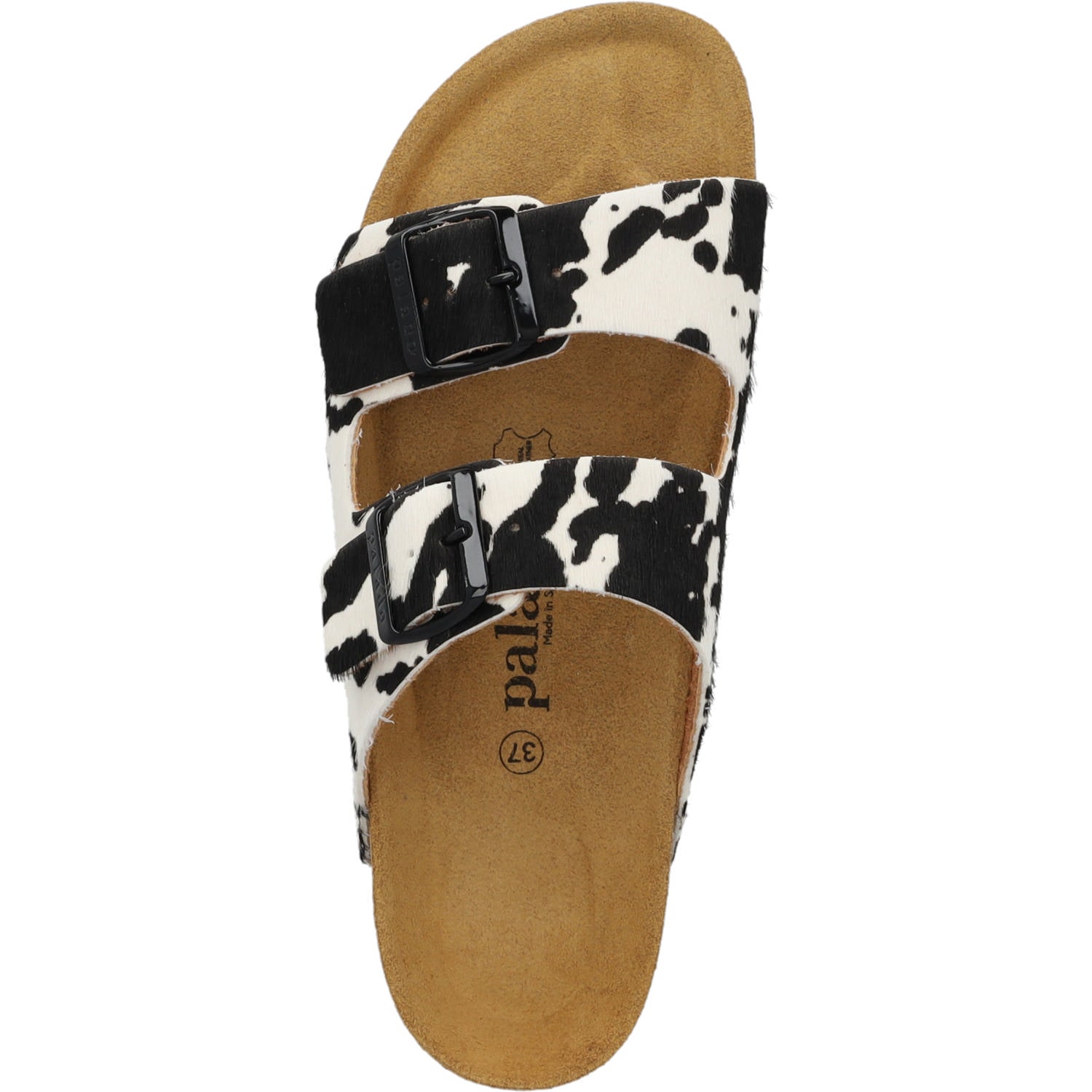 Korfu Western Kuh Schwarz