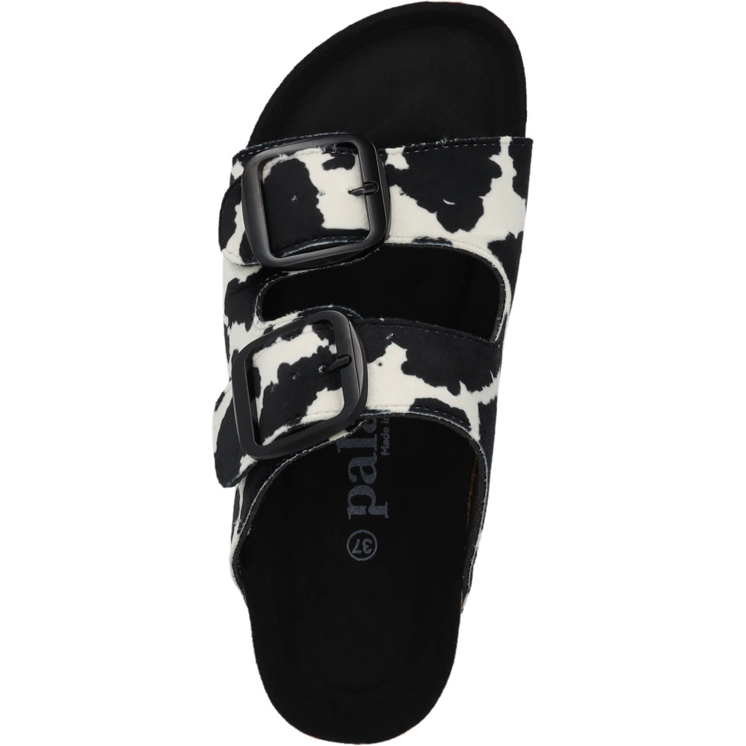 Korfu PL Western Kuh Schwarz